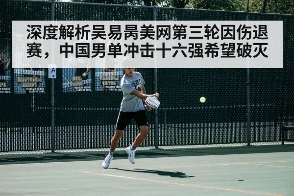 深度解析吴易昺美网第三轮因伤退赛，中国男单冲击十六强希望破灭